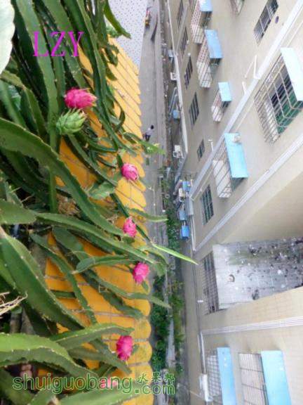 2.»10-06A.JPG