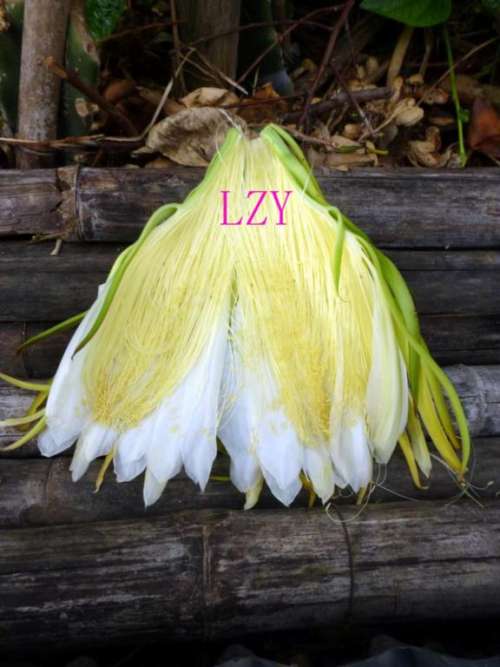2.ڷ07-11CD.JPG