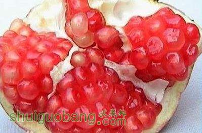 cb8065380cd79123ff4b5c23ad345982b3b7d0a20cf4a802.jpg