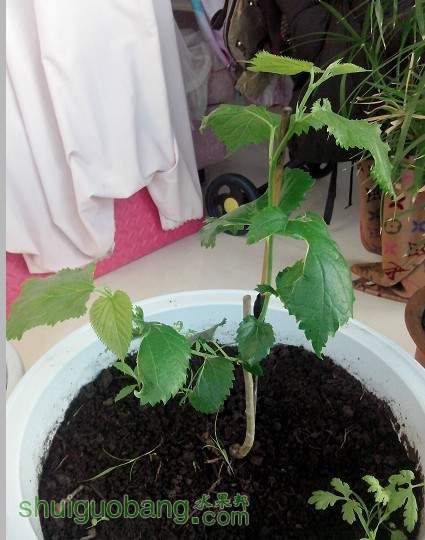 QQͼƬ20131121221653.jpg