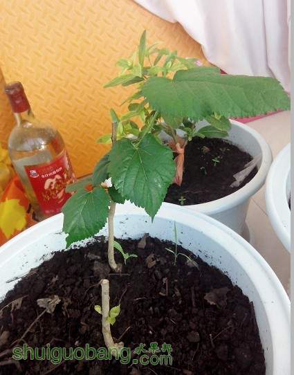 QQͼƬ20131121221614.jpg