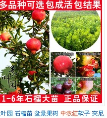 QQͼ20131122084231.jpg