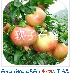QQͼ20131122084247.jpg