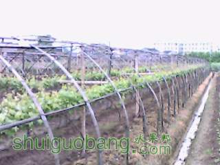 IMG0125A.jpg