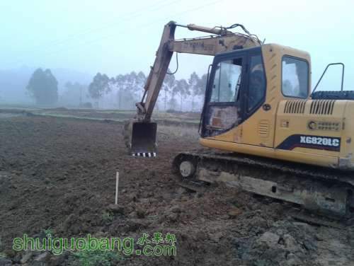 20131122_104403.jpg