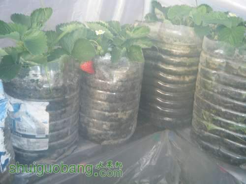 DSCF2170.JPG