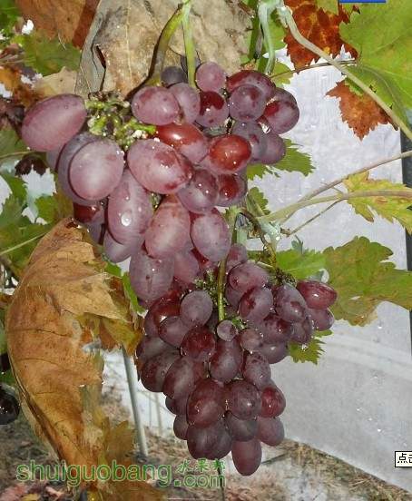 2005.jpg