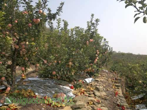 2013-10-10-442.jpg