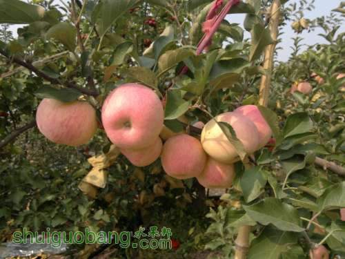 2013-10-10-444.jpg