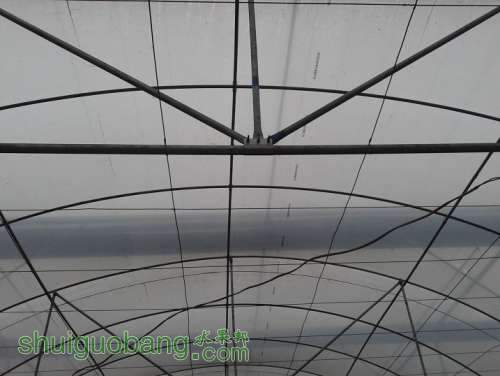 20131123_091203.jpg