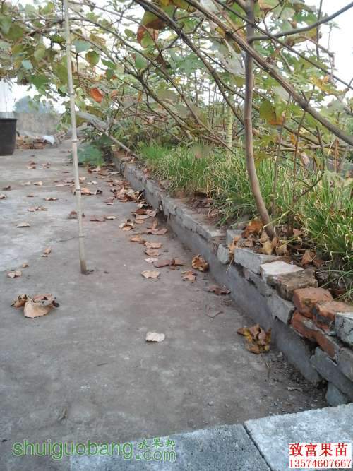 20131107_075009.jpg