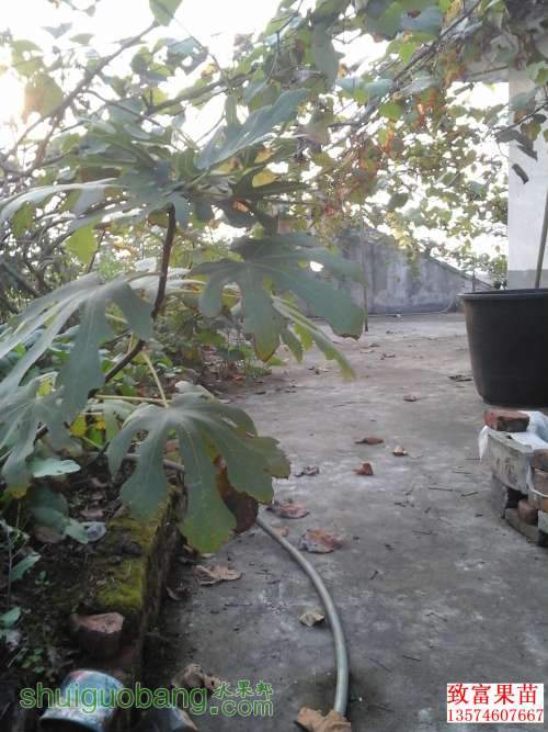 20131107_075344.jpg