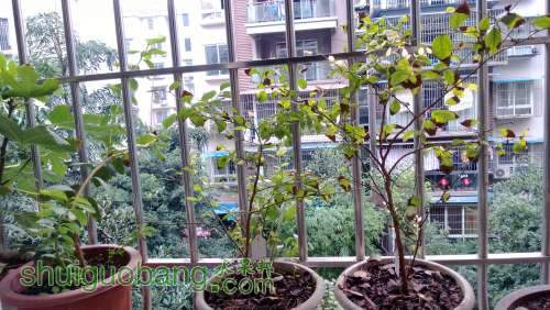 WP_20131113_046.jpg