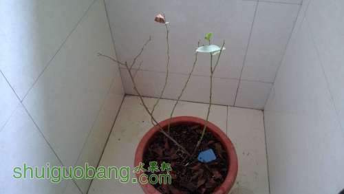 WP_20131113_030.jpg