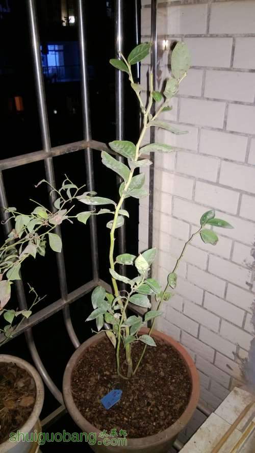 WP_20130928_002.jpg