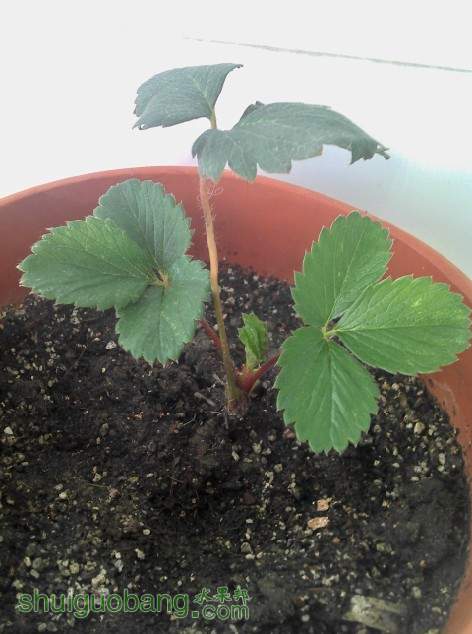 QQͼ20131118133013.jpg