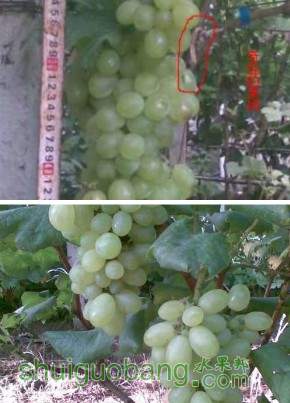 ABZDOV4)3$L(~F[NX5M7F)P.jpg
