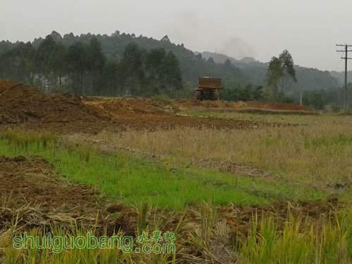 20131125_132327.jpg