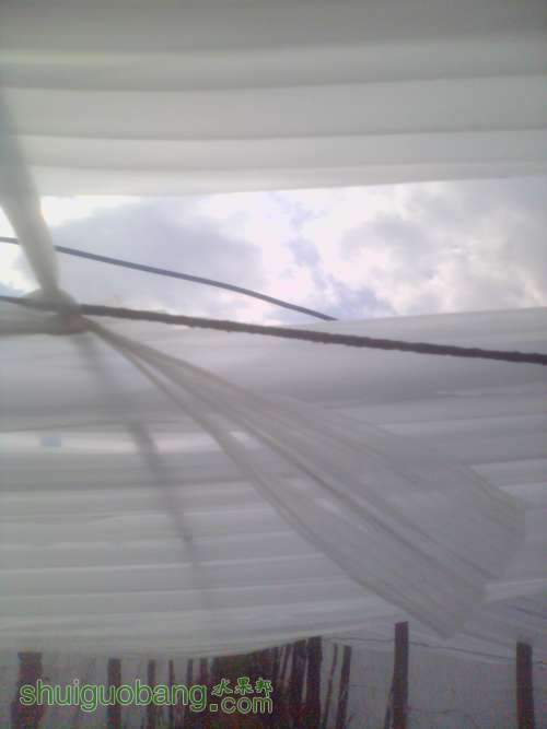 IMG_20131126_113714_0.jpg