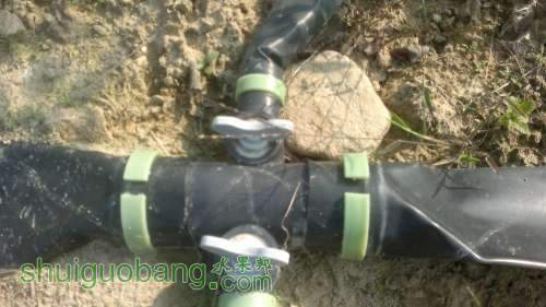 201311 148.jpg