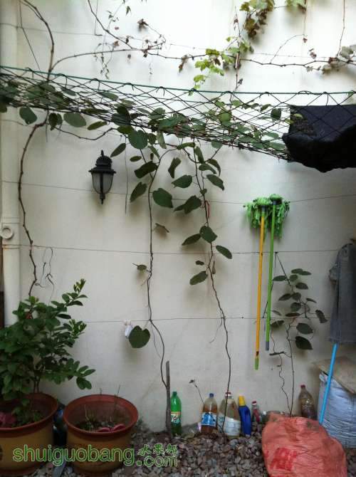 2013-11-26 065901.jpg