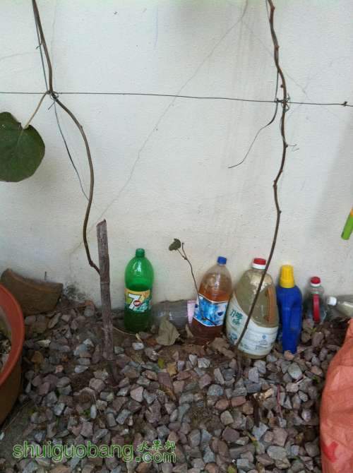 2013-11-26 065917.jpg