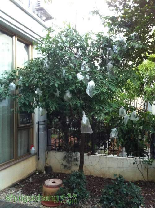 2013-11-26 065645.jpg