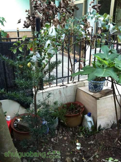 2013-11-26 065710.jpg