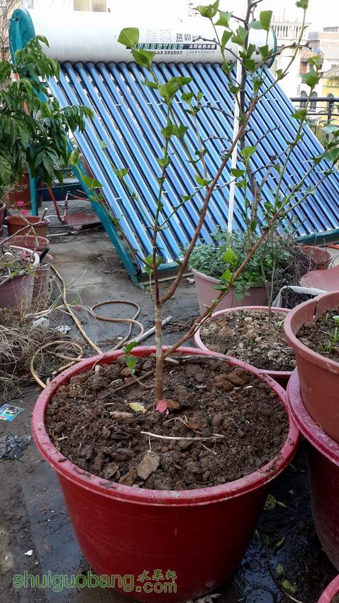 20131129_173411.jpg
