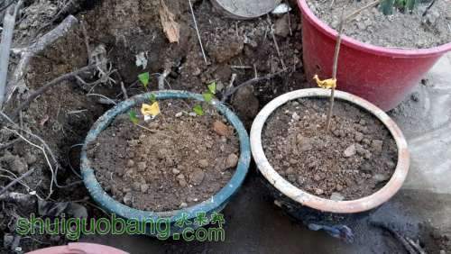 20131129_173425.jpg
