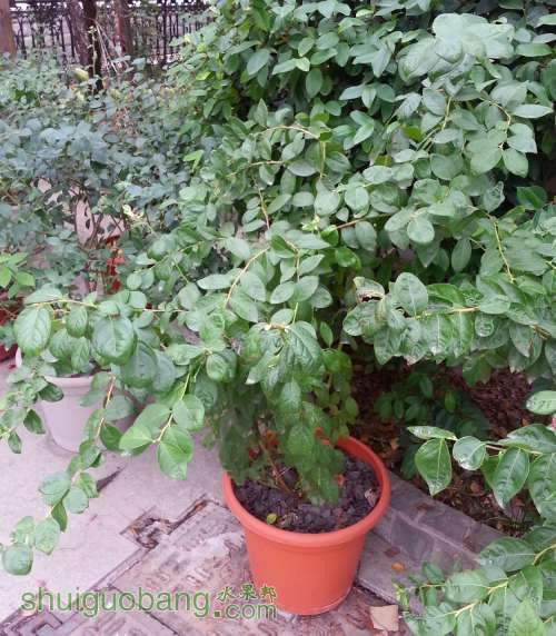 20131112_092401_����.jpg