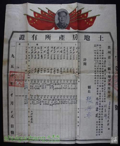 77419045A.jpg