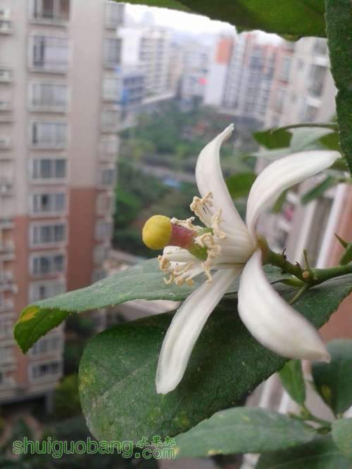 QQͼƬ20131125213039.jpg
