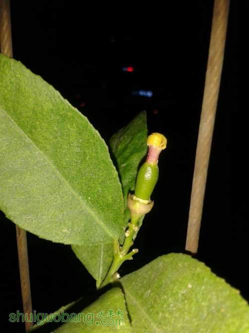 QQͼƬ20131125213125.jpg
