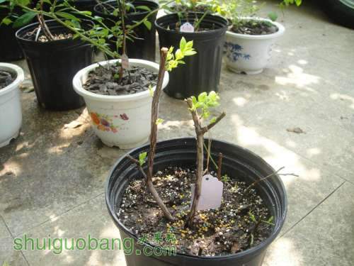 ����A 120819.JPG