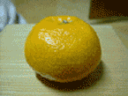Ŀ.gif