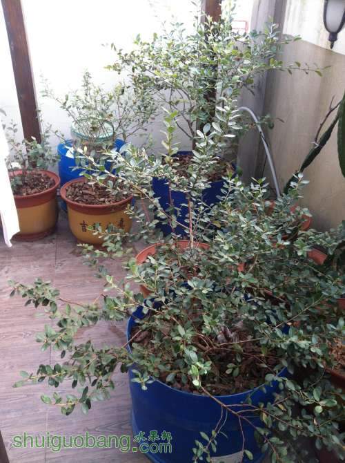 2013-12-08 134626.jpg