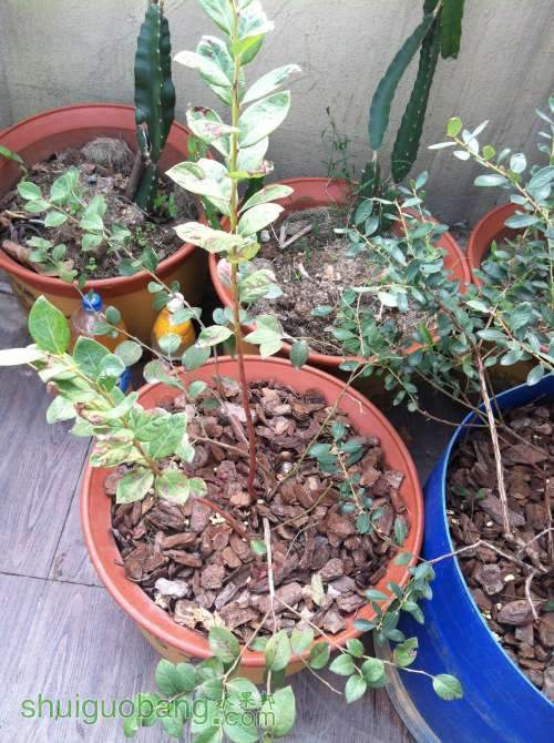 2013-12-08 134650.jpg
