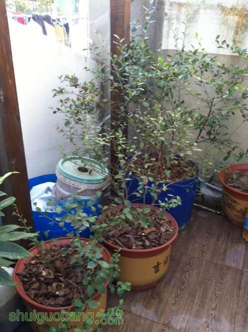 2013-12-08 171254.jpg