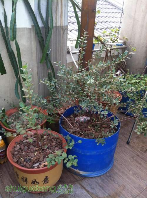 2013-12-08 171259.jpg