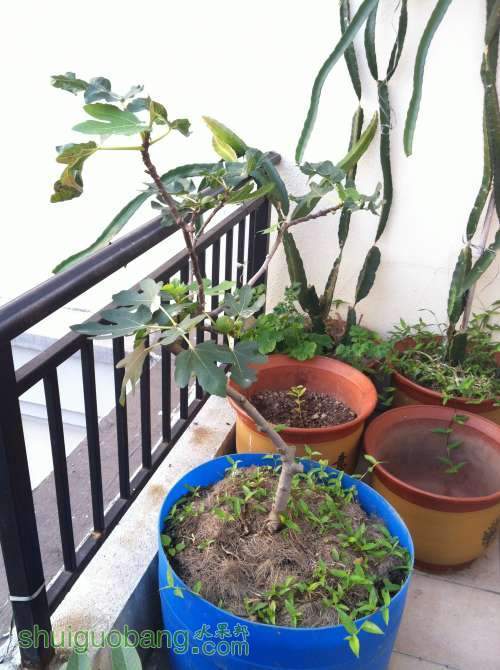 2013-12-07 074203.jpg