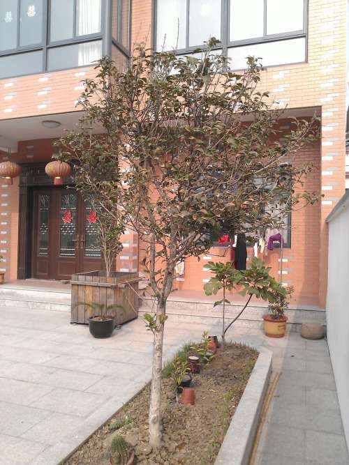 WP_001858.jpg