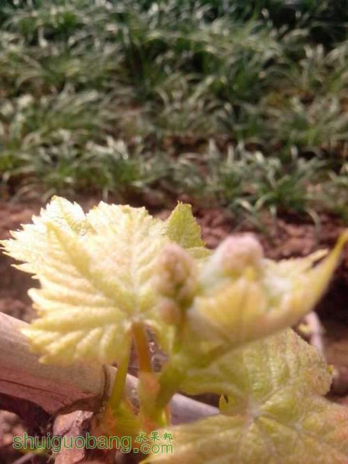 QQͼƬ20131209174904.jpg