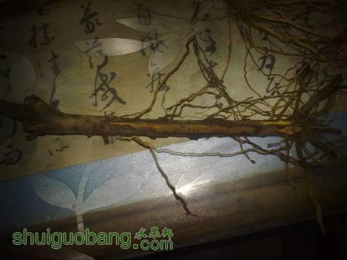 20131209600.jpg