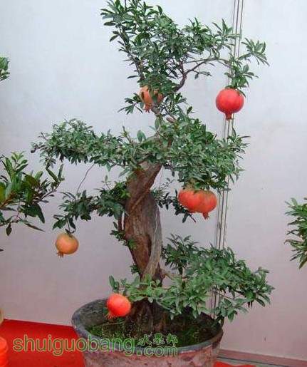 QQͼ20131210123411.jpg