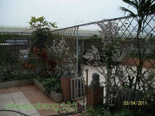 155849d7qq8o4co884adp8.jpg