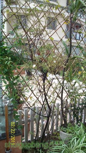 155844abbtj0nhx60x77nj.jpg