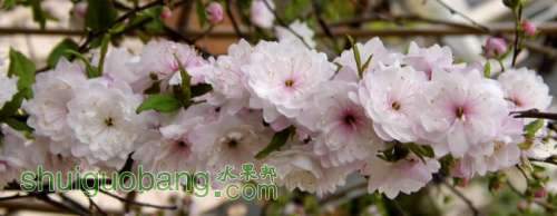 155909huuc7qdgz88c7nd3.jpg