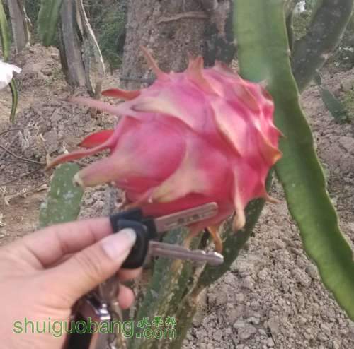 ������������������������������������