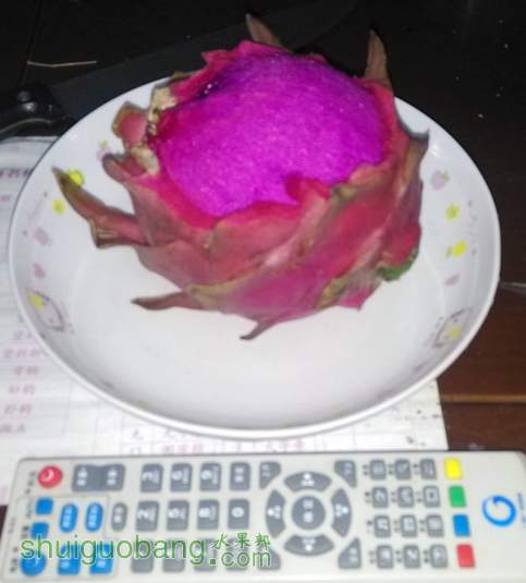 ������������������������������